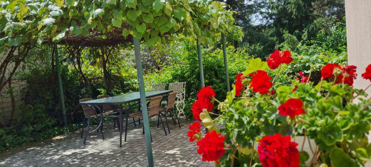 Lugas Apartman Miskolctapolca 2 Haloszoba Dezsa Es Jakuzzi Koezel A Barlangfuerdohoez Esterno foto