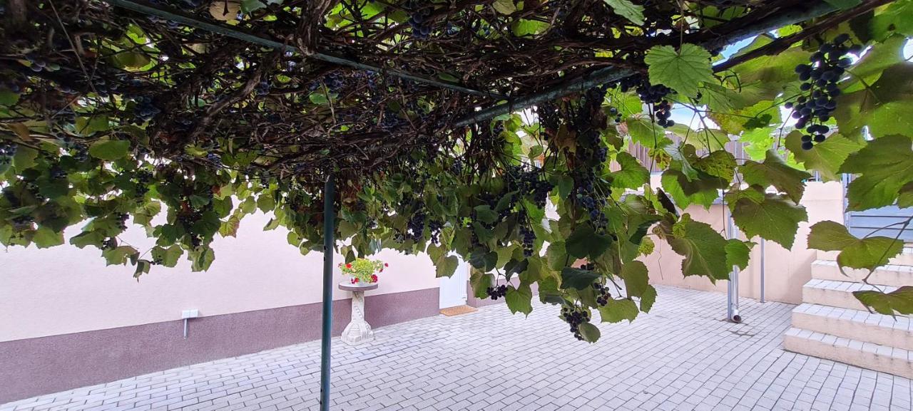 Lugas Apartman Miskolctapolca 2 Haloszoba Dezsa Es Jakuzzi Koezel A Barlangfuerdohoez Esterno foto